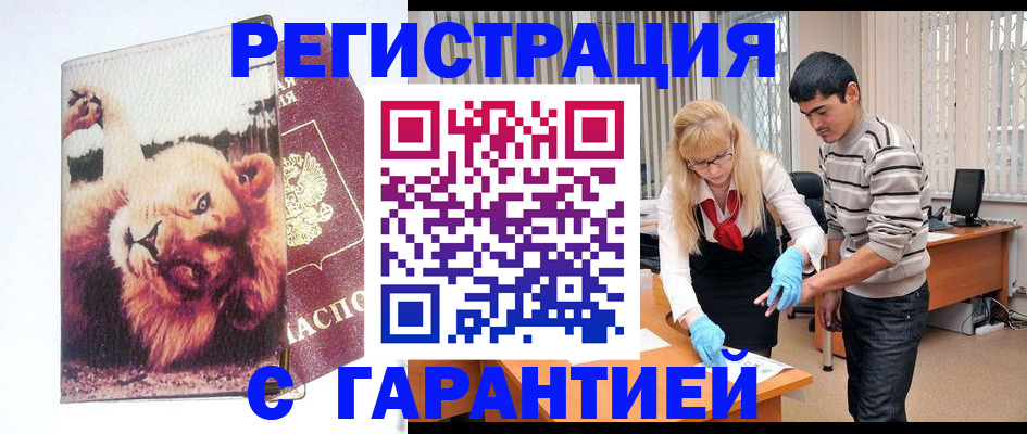 временная регистрация поиск в Тереке